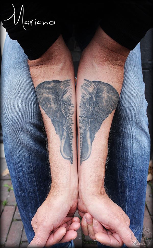 ArtCastleTattoo Tattoo ArtiestMariano Healed realistic elephant tattoo lower arms Black n Grey