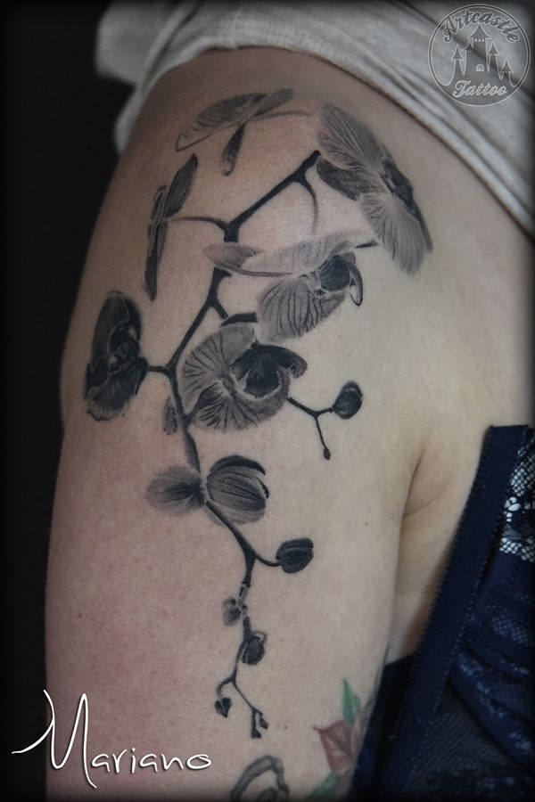 ArtCastleTattoo Tattoo ArtiestMariano Realistic orchid flowers tattoo upper arm Black n Grey