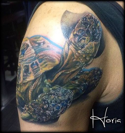 ArtCastleTattoo Tattoo ArtiestPrive Horia Realistic Turtle tattoo in full color upper arm Color