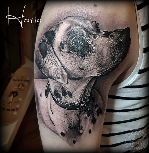 ArtCastleTattoo Tattoo ArtiestPrive Horia Realistic dalmation portrait tattoo pet dog black n grey on upper arm Portraits